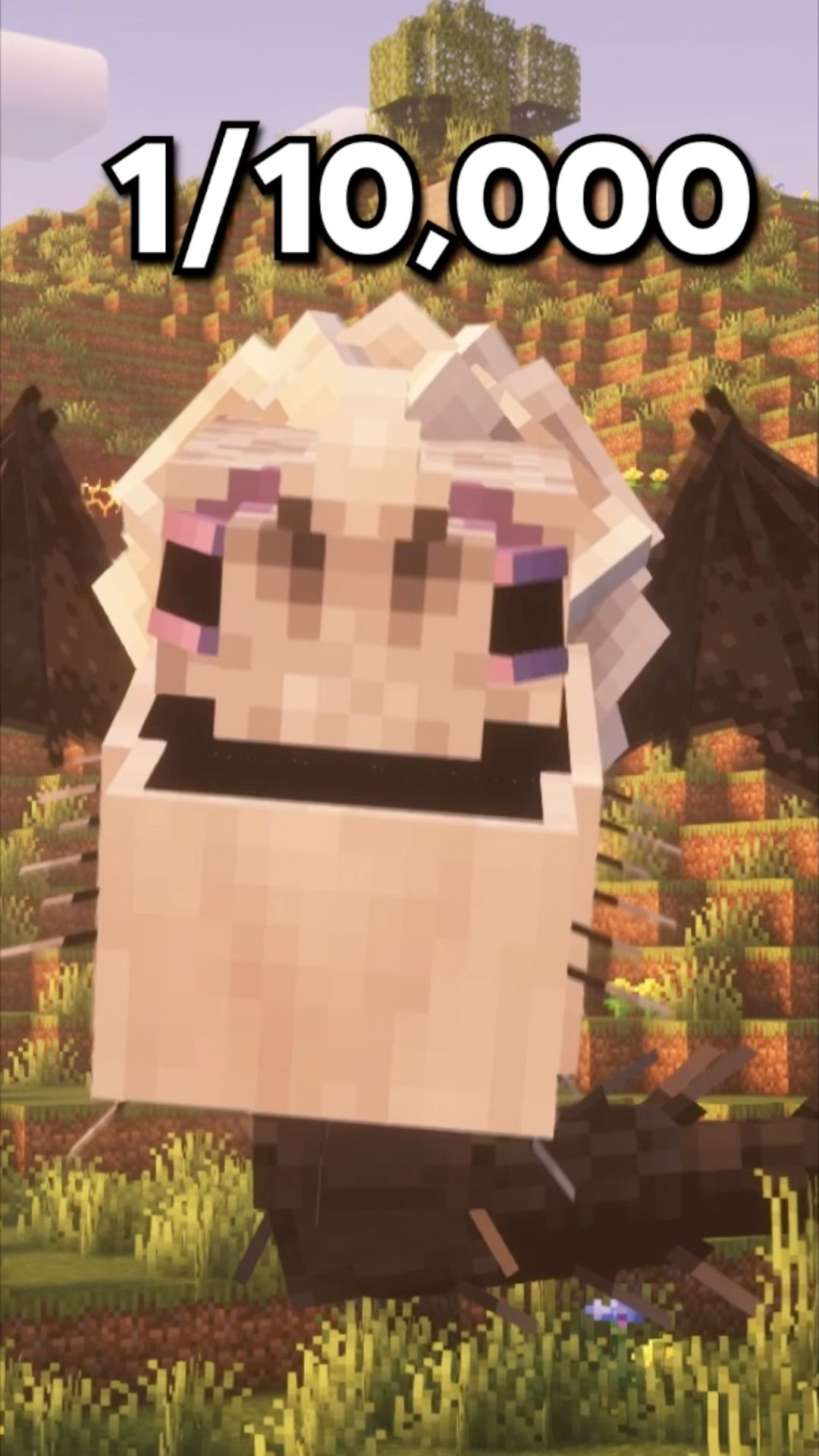 Rarest Dragon Variants in How to Train your Dragon in Minecraft #shorts – YouTube