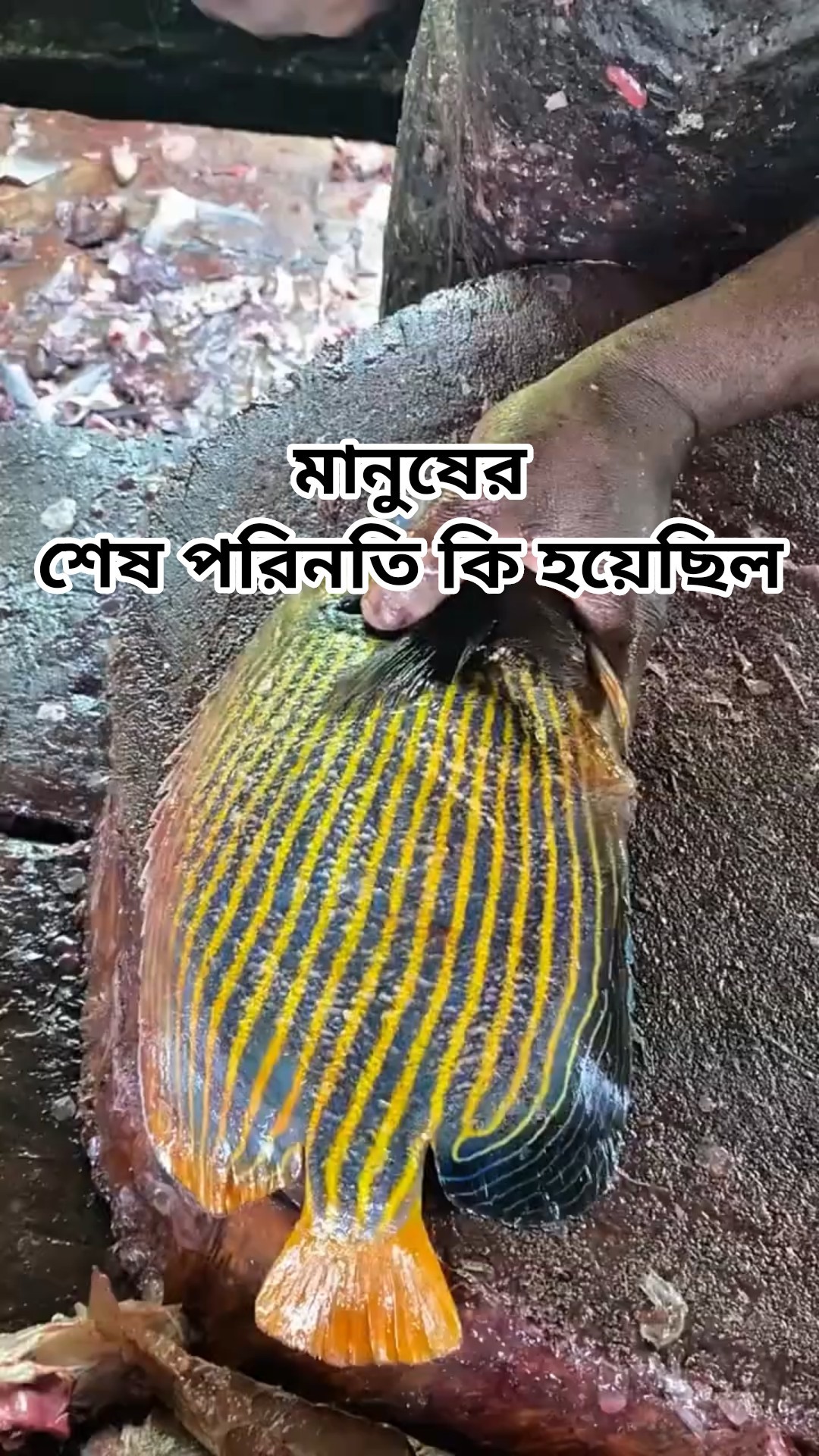 মানুষের শেষ পরিনতি কি হয়েছিল | #abutaha_adnan #new #shorts – YouTube