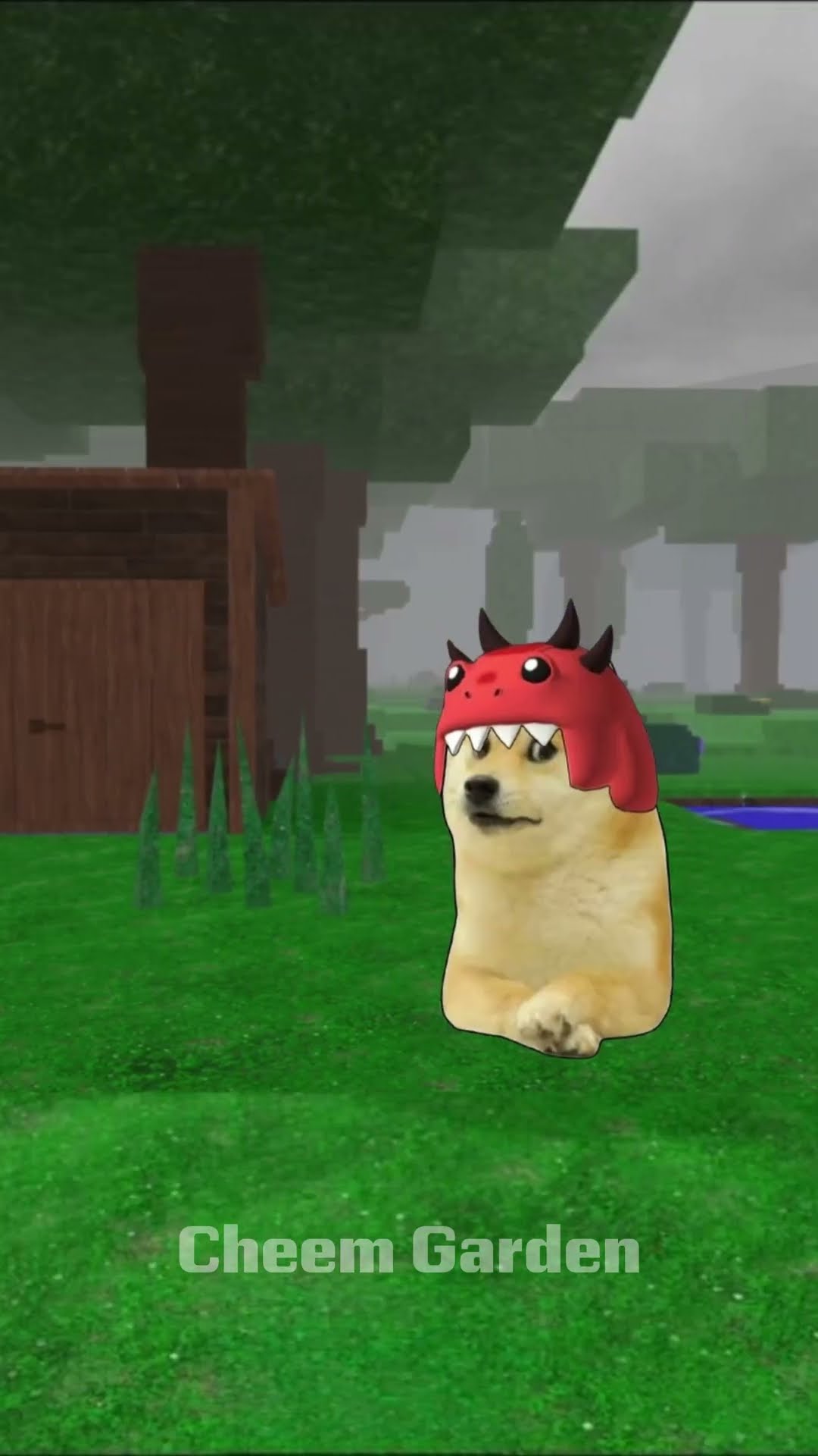 Where Is Dino Dog Hiding? 🦖🐶 #99nightintheforest #cheems #shorts – YouTube