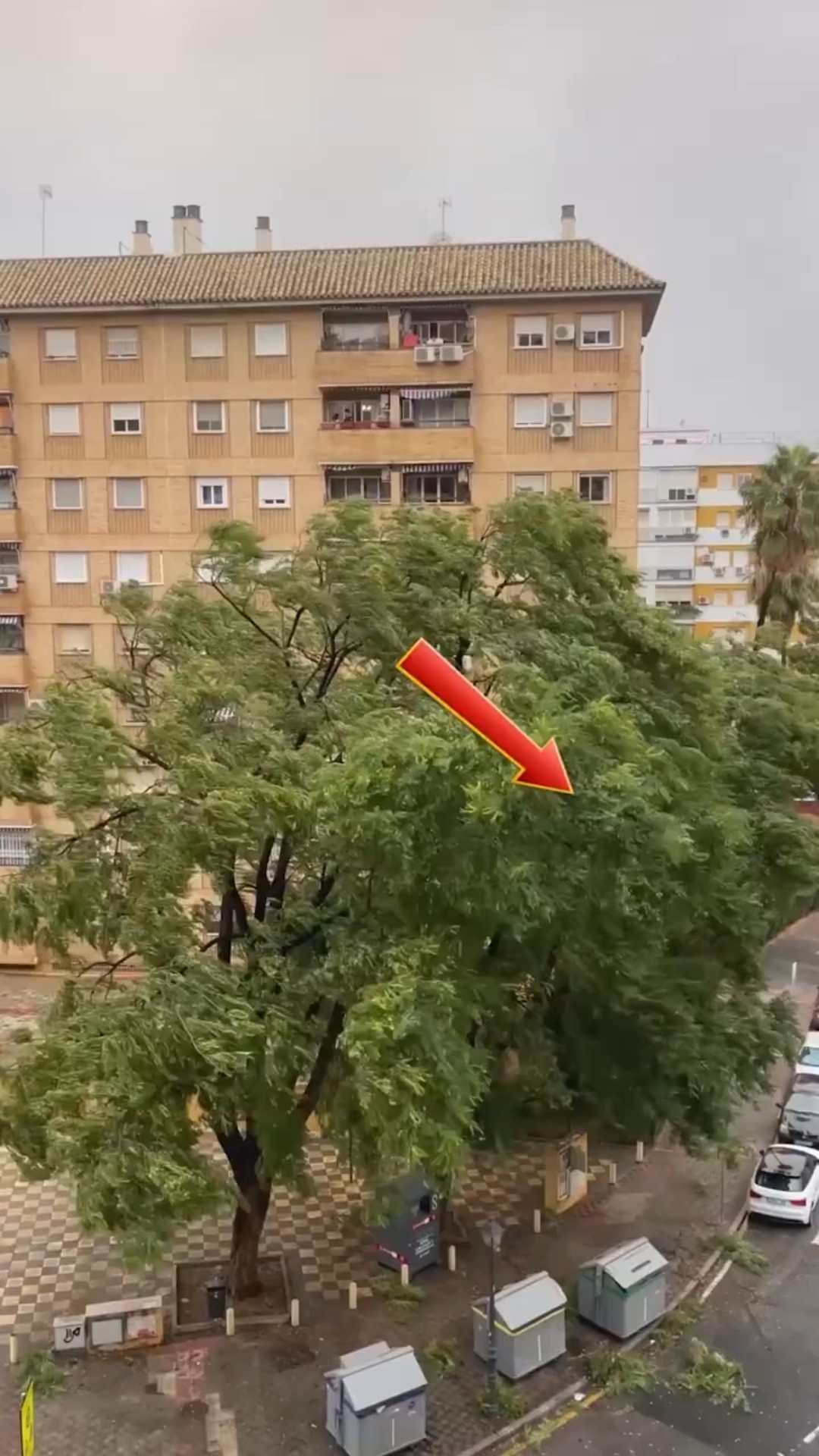 It's Windy Outside #shorts – YouTube