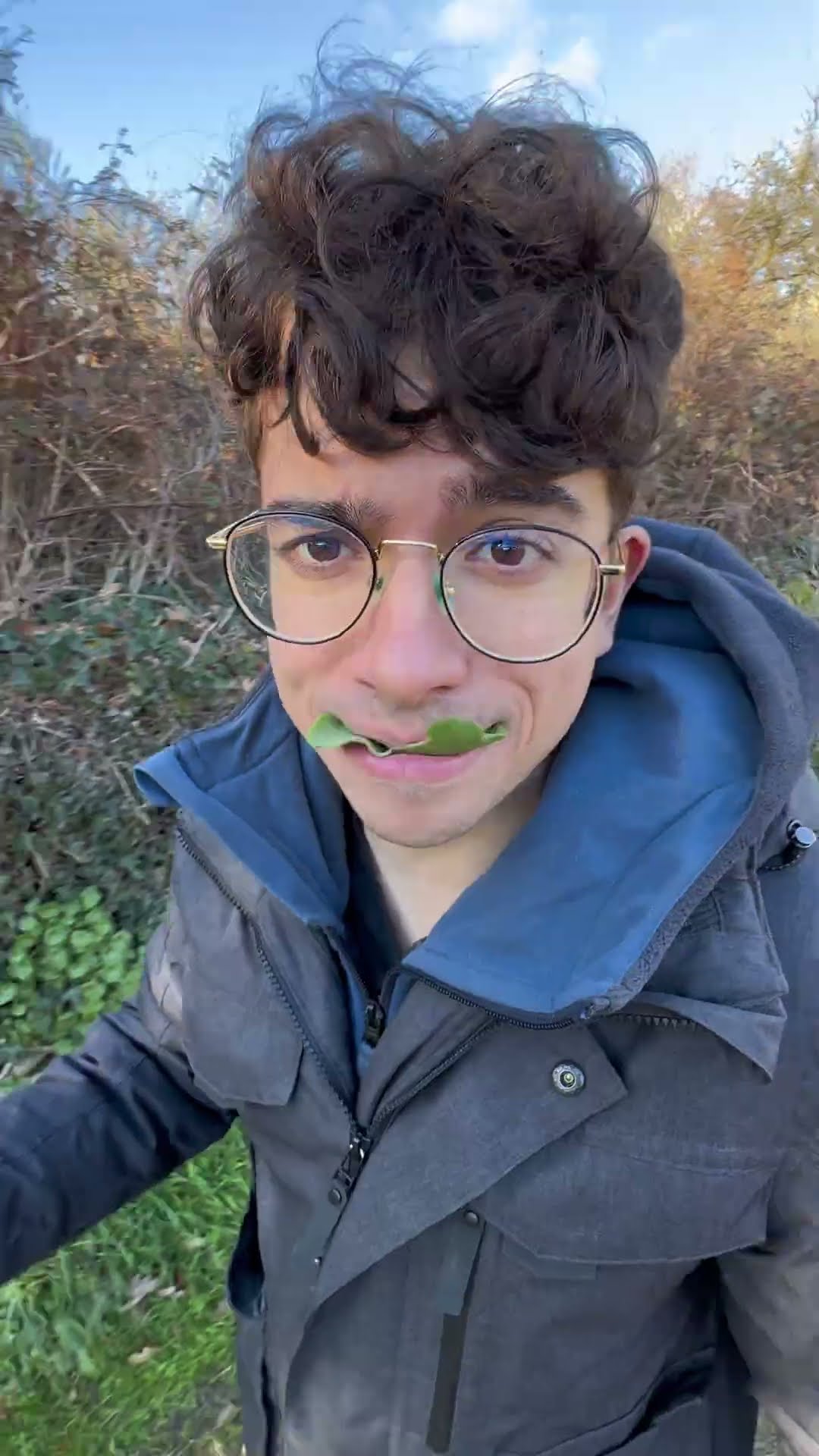 ¿Te comerías estas plantas? 🌱 🤔 #shorts #naturaleza #plants – YouTube