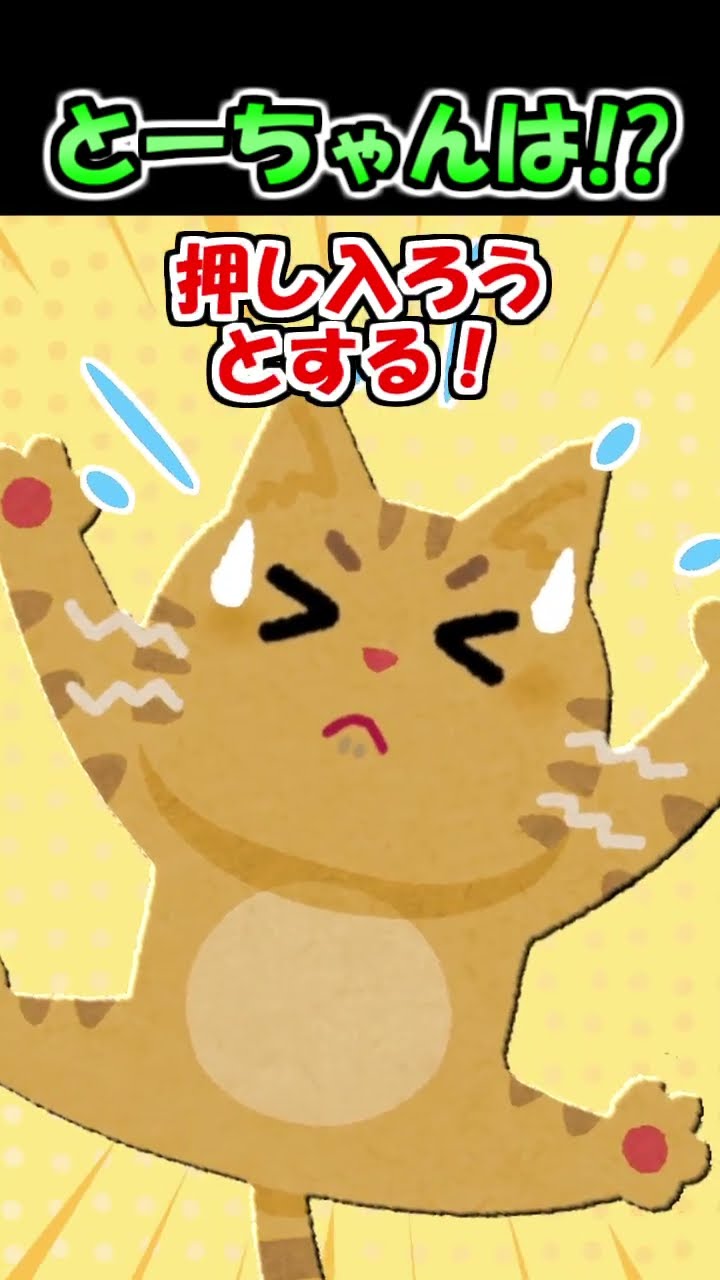 【2ch】猫「トーちゃんをどこに隠した！？」【アニマル】 #Shorts – YouTube