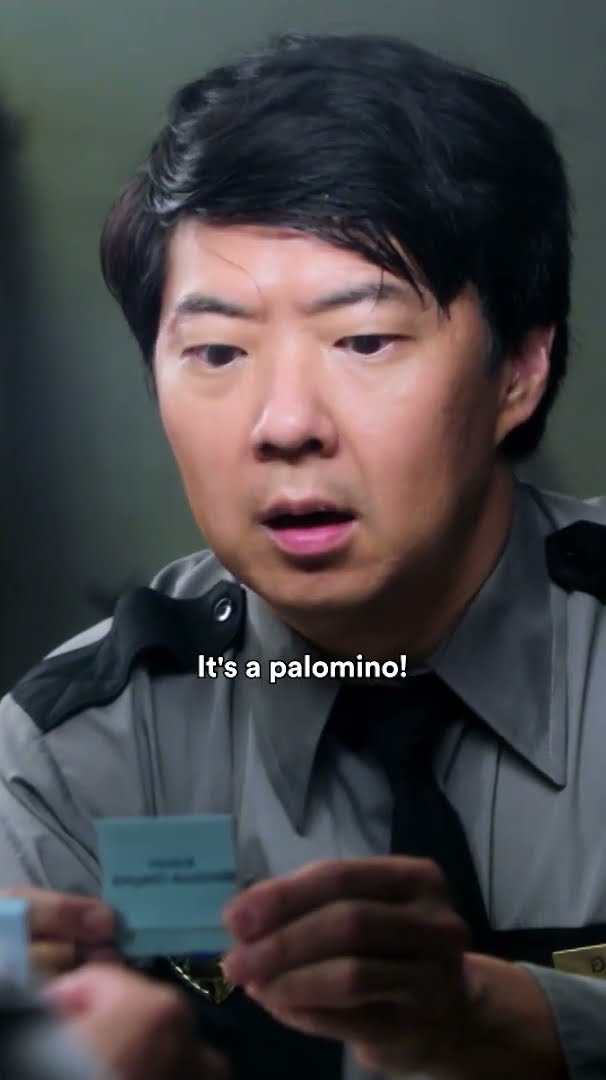 it's a palomino 😳 | Community #shorts – YouTube