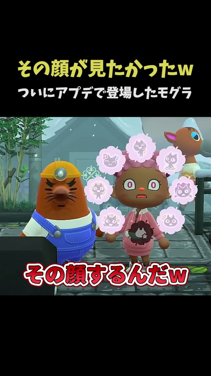 【あつ森】衝撃の顔をカメラが押さえたw #shorts – YouTube