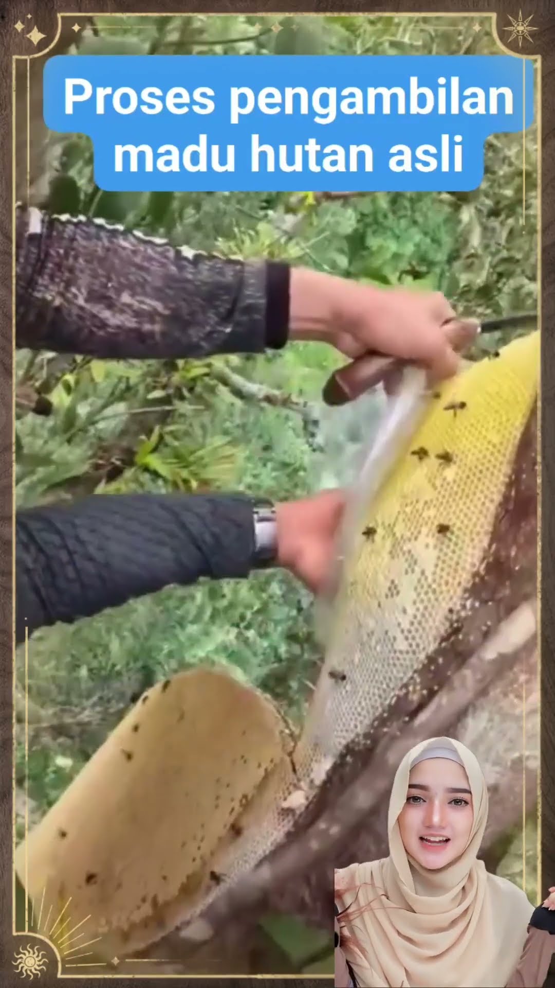 madu hutan salah satu kenapa harga mahal #shorts #viral #fyp – YouTube