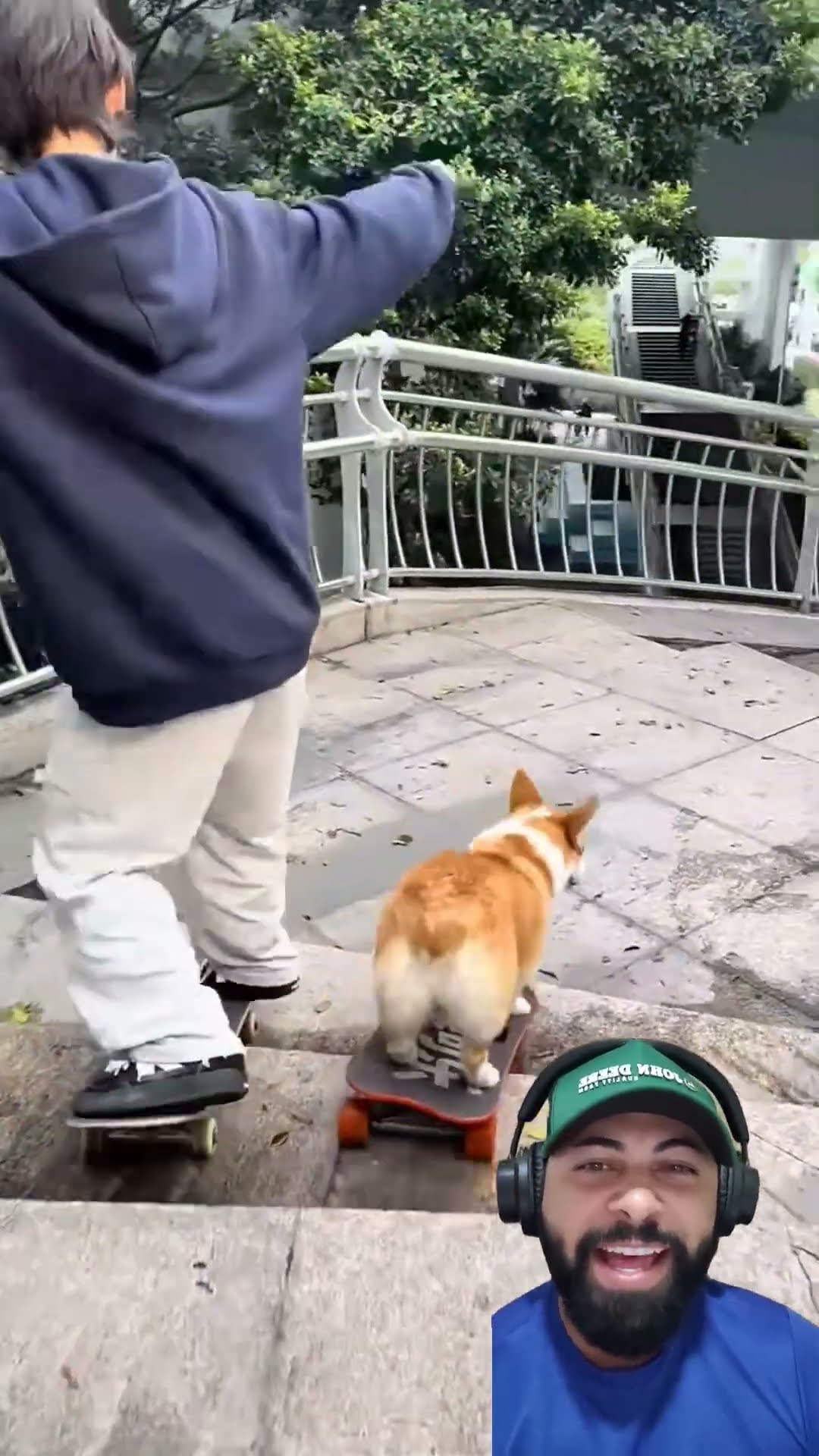 O cachorrinho ganhou de mim no skate 😭😭😭 #shorts – YouTube