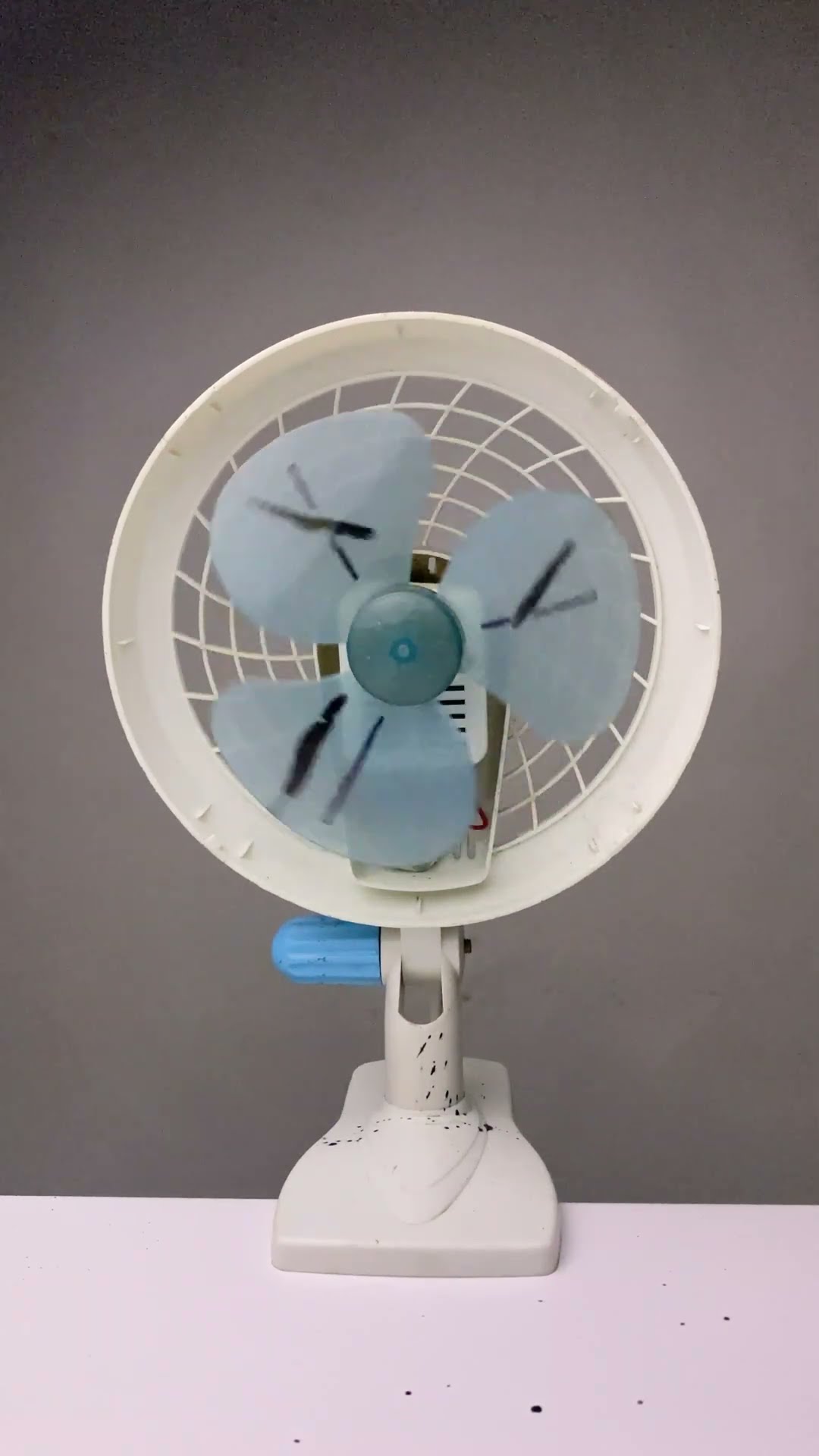 Frame rate illusion creates frozen fan effect #opticalillusion #science #shorts – YouTube