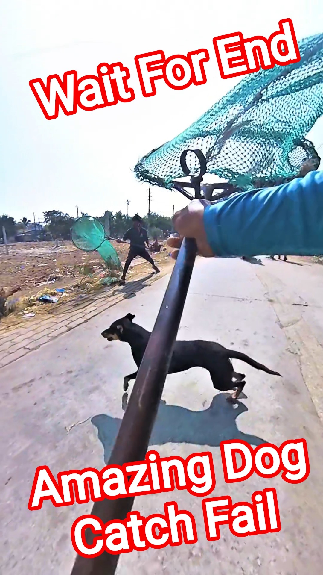 Raheman Dakait Fail #shorts #ytshorts #ytviral #dog #pets #amazing – YouTube