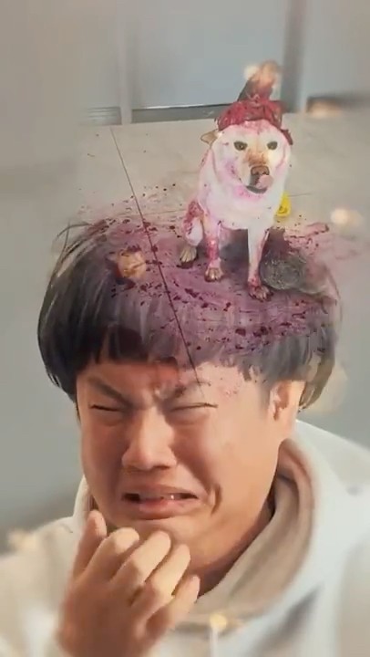 Tiểu Bạch Ghen Tuông Bỏ Nhà Ra Đi 😡😭 #Shorts #ThuCung #ChoMeoDrama #meouo6868 #tiktok #douyin – YouTube