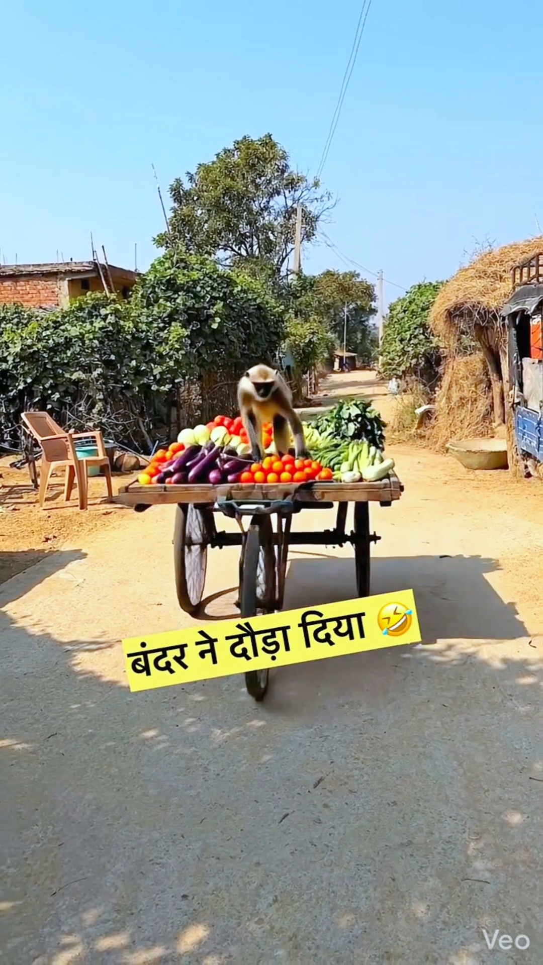 बंदर भाई तो गुस्सा हो गया || wait for end 😂 #shorts #viral #video #trendingshorts #comedyshorts – YouTube