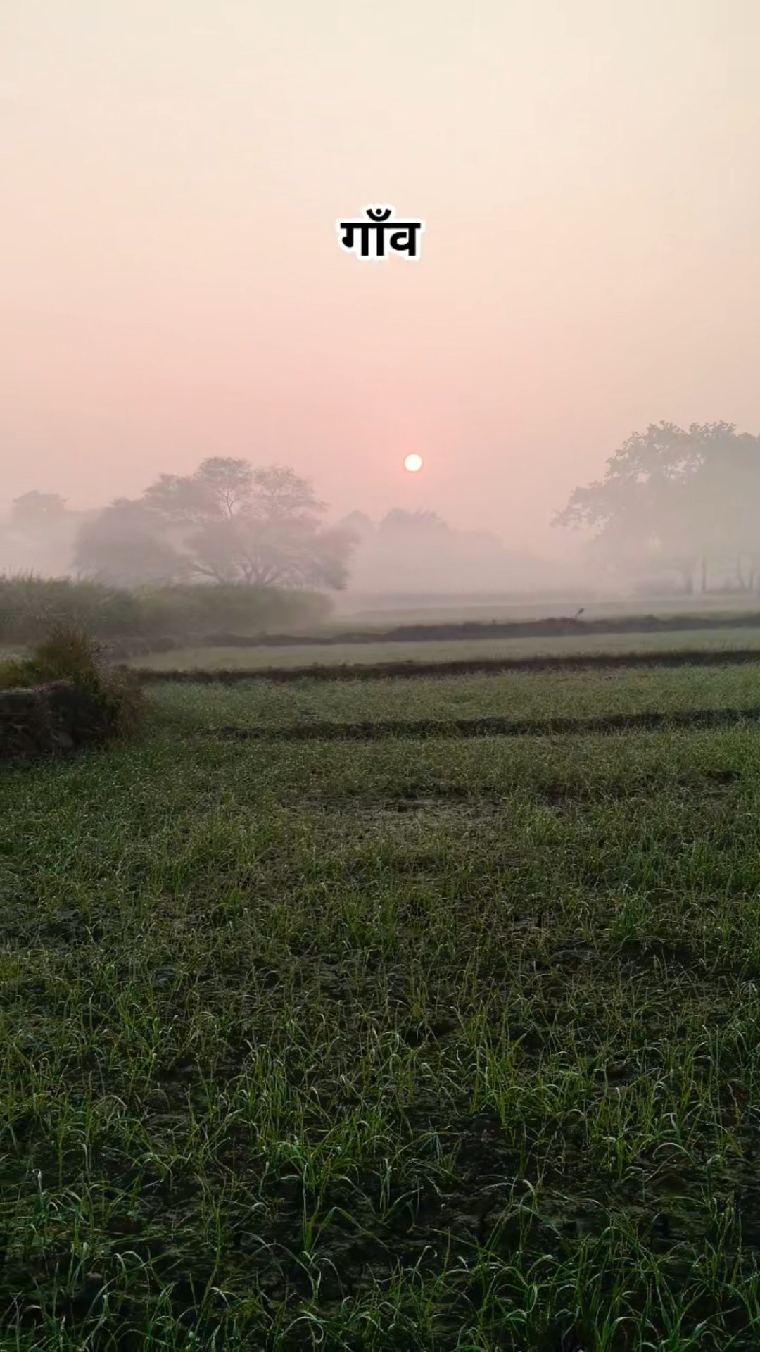 मेरा छोटा सा गाँव 🏚️। mera chhota sa gaav #royalvkm #shortsfeed #shorts #villagelife #viralvideo – YouTube