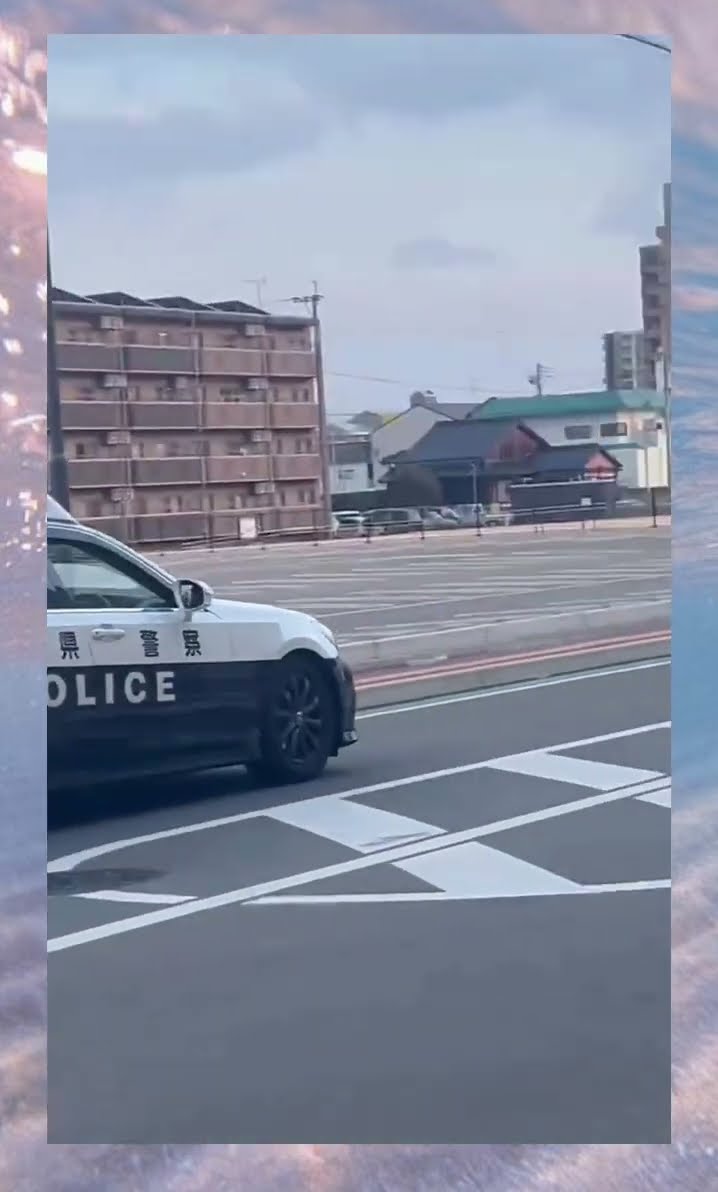 めっちゃたのしそう笑 #shorts – YouTube