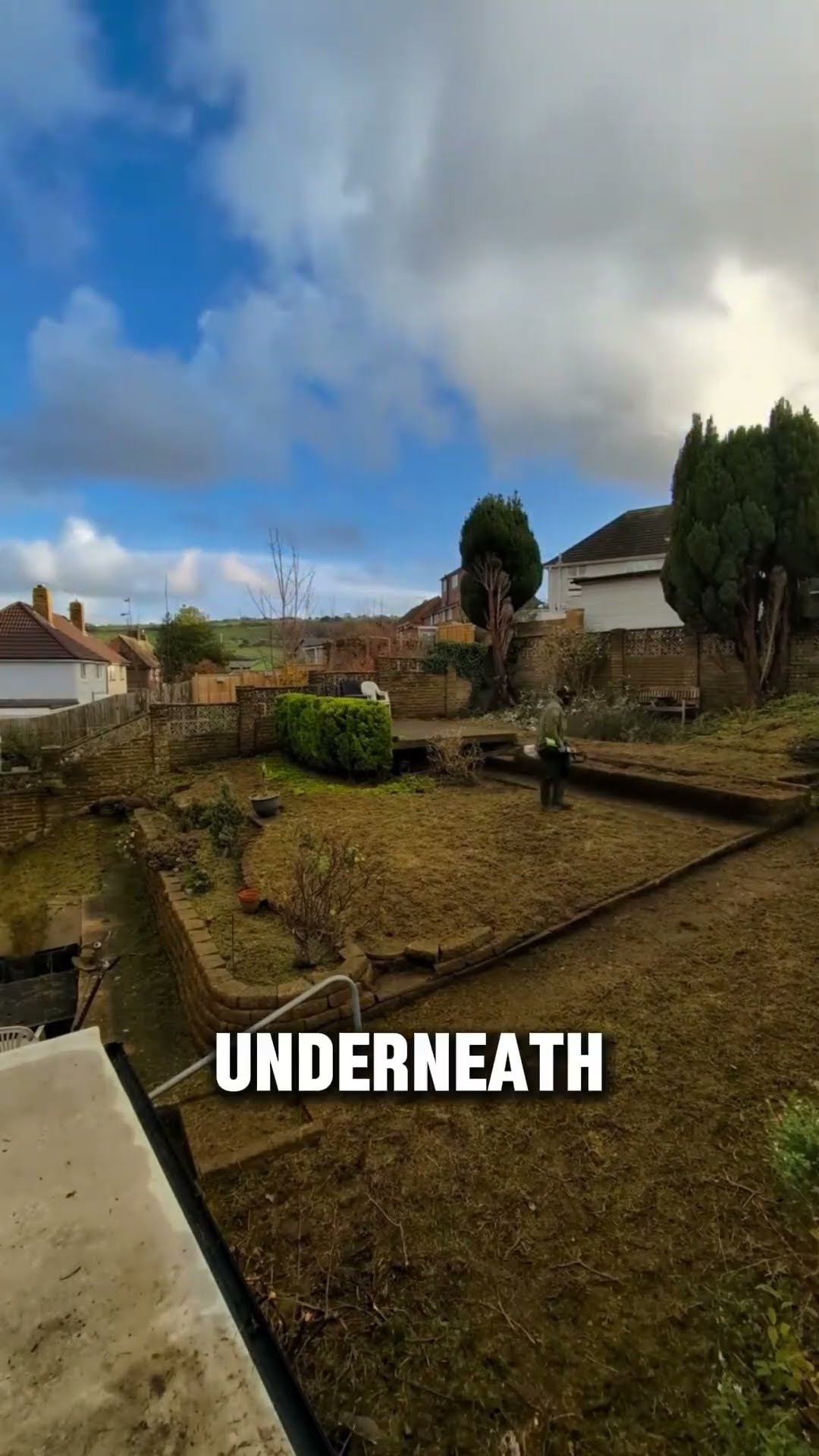 Cleaning & Restoring an Old Abandoned Property #shorts #satisfying #gardening – YouTube