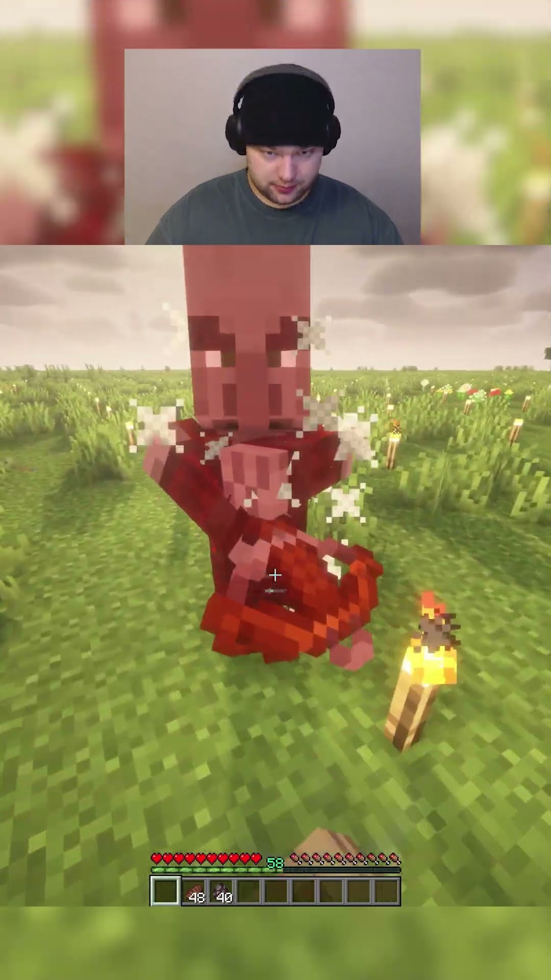 Killing a Pillager unarmed in minecraft day 84 #shorts #viralshorts – YouTube