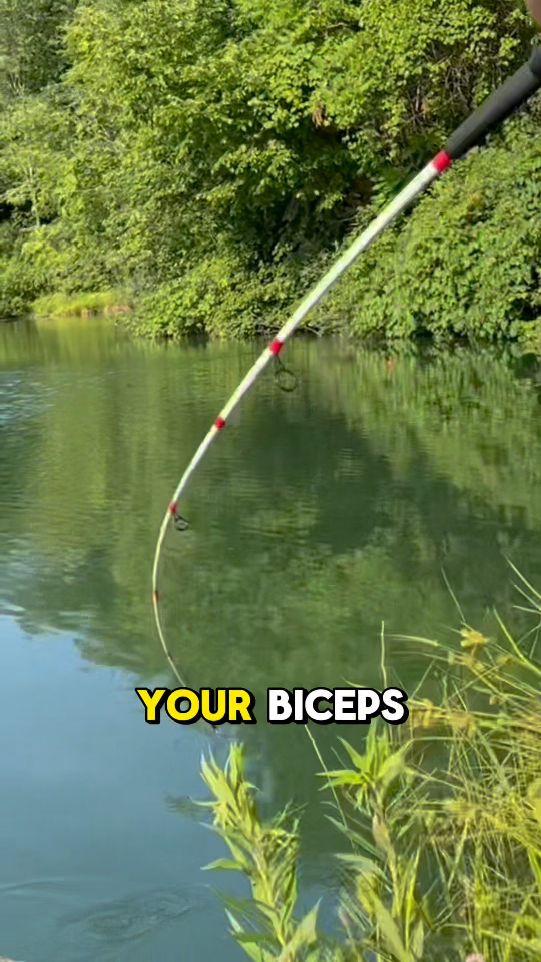 THIS Is Why You Don’t Skip ARM Day! 🎣💪 #shorts #fishing – YouTube