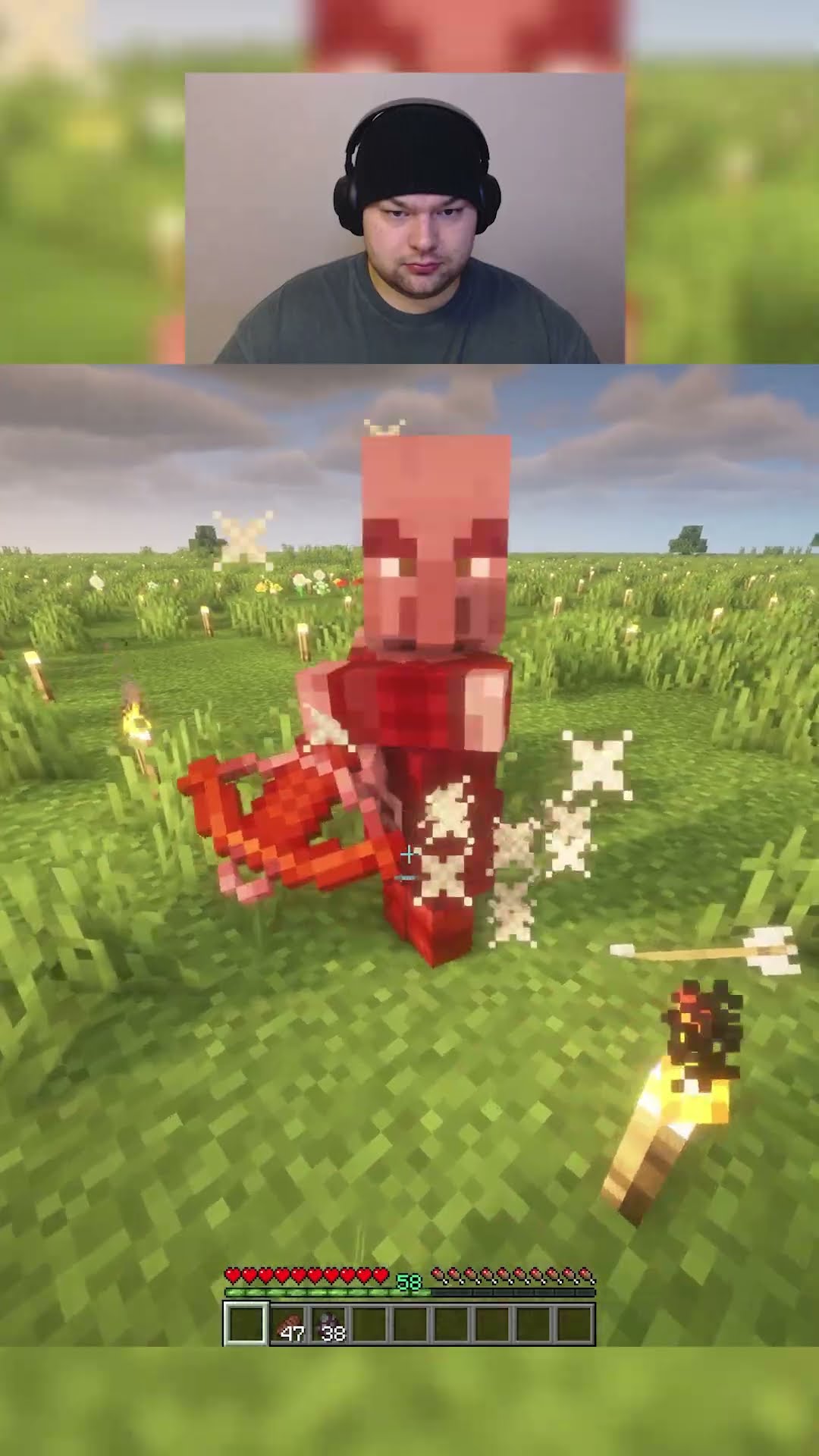 Killing a Pillager unarmed in minecraft day 86 #shorts #viralshorts – YouTube