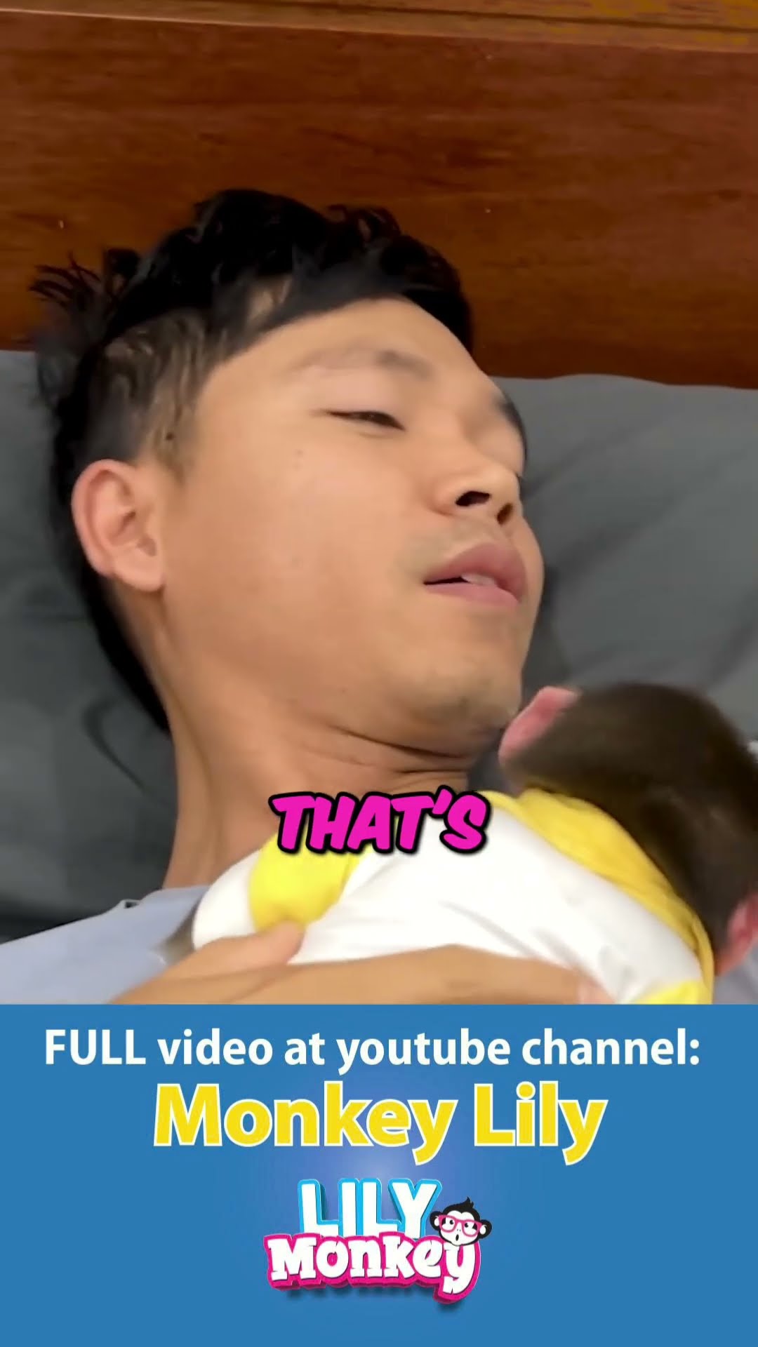 Man Wakes Up With Monkey, What Happens Next ! #monkey #shorts #short – YouTube