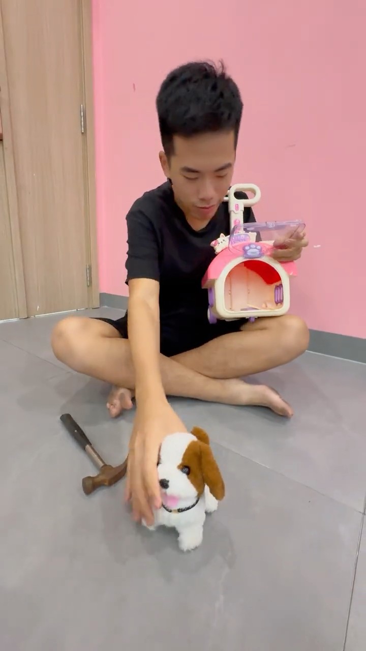 LNF – Building a Puppy House 🐶 #shorts – YouTube