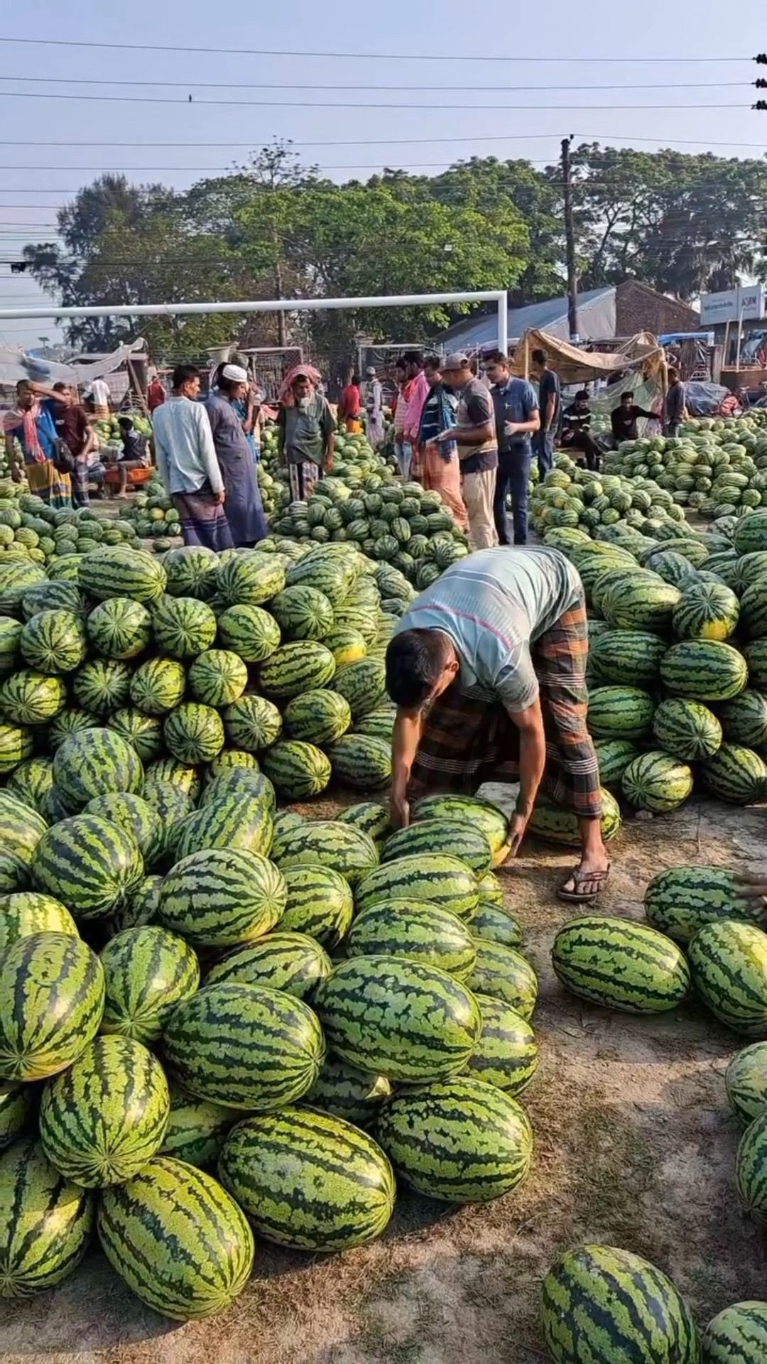১০ টি ফলের নাম। Fruits eating shorts feed #fruit #shorts #funny #viral #trending #youtubeshorts – YouTube
