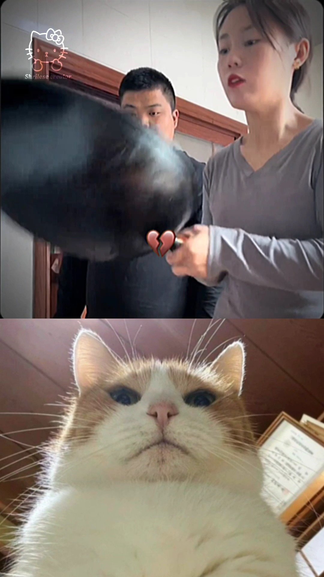 MY FRIEND BECAME A HELPER 🤣 #funny #shorts #viral – YouTube