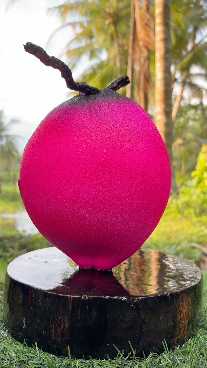 I Found the Most Beautiful Coconut Ever #shorts – YouTube