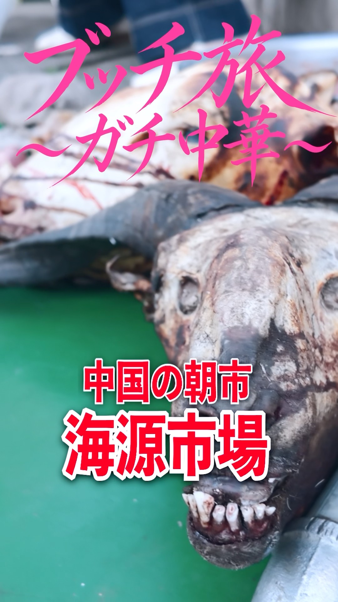 中国のローカル朝市散歩！ #ガチ中華 #ブッチ旅 #中国グルメ #shorts – YouTube